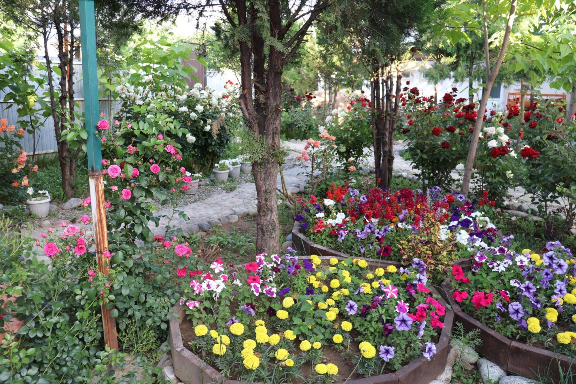 Happy Nomads Yurts & Hostel Karakol Kültér fotó