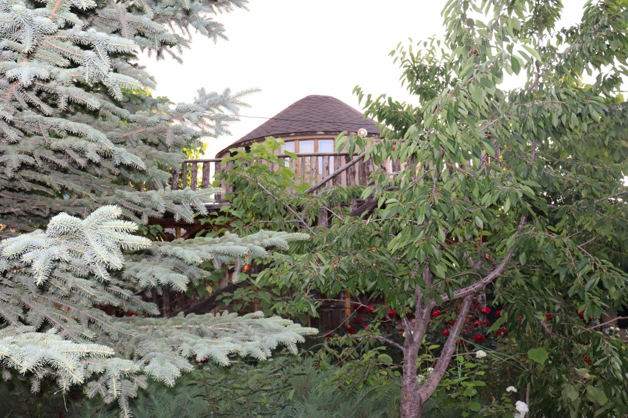 Happy Nomads Yurts & Hostel Karakol Kültér fotó