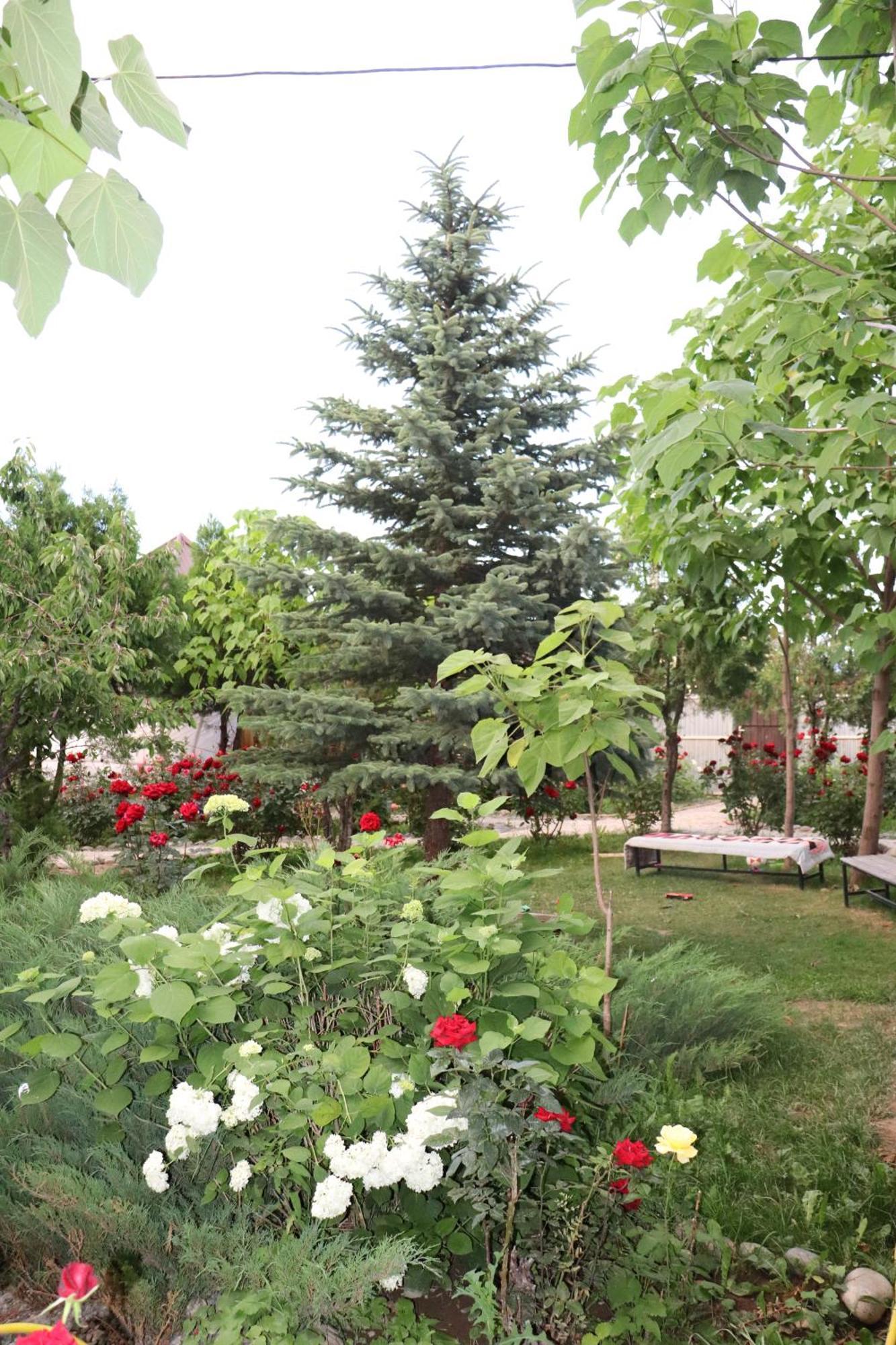 Happy Nomads Yurts & Hostel Karakol Kültér fotó