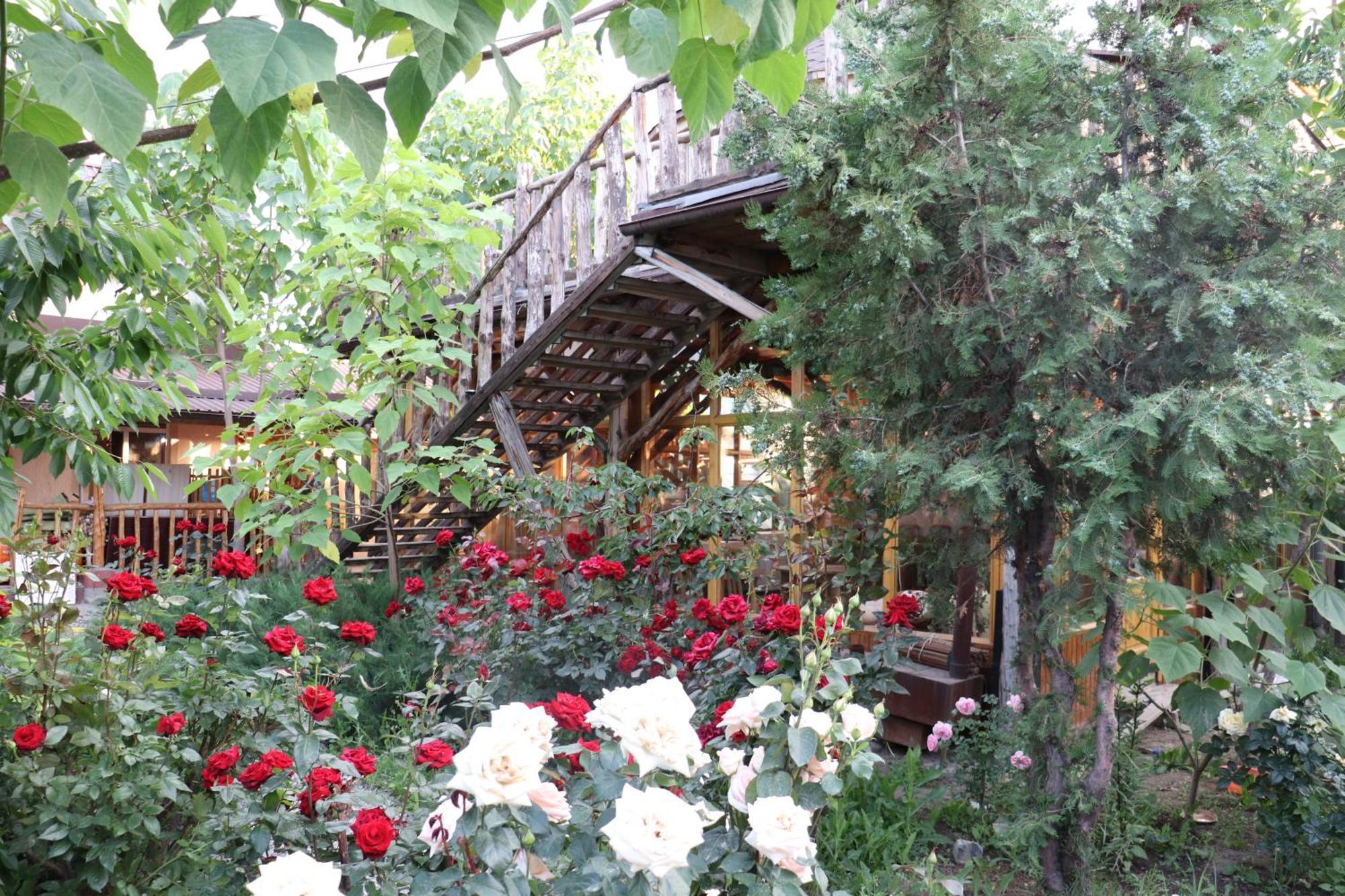 Happy Nomads Yurts & Hostel Karakol Kültér fotó