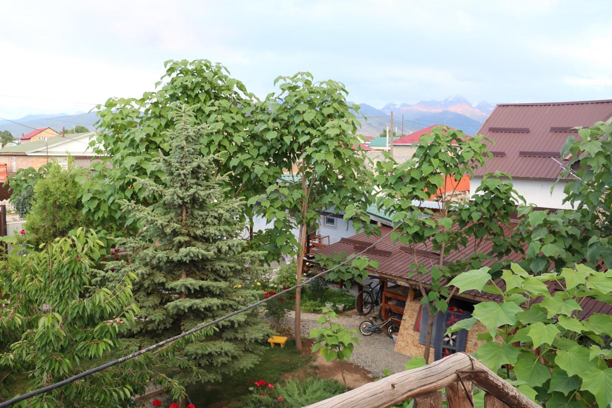 Happy Nomads Yurts & Hostel Karakol Kültér fotó