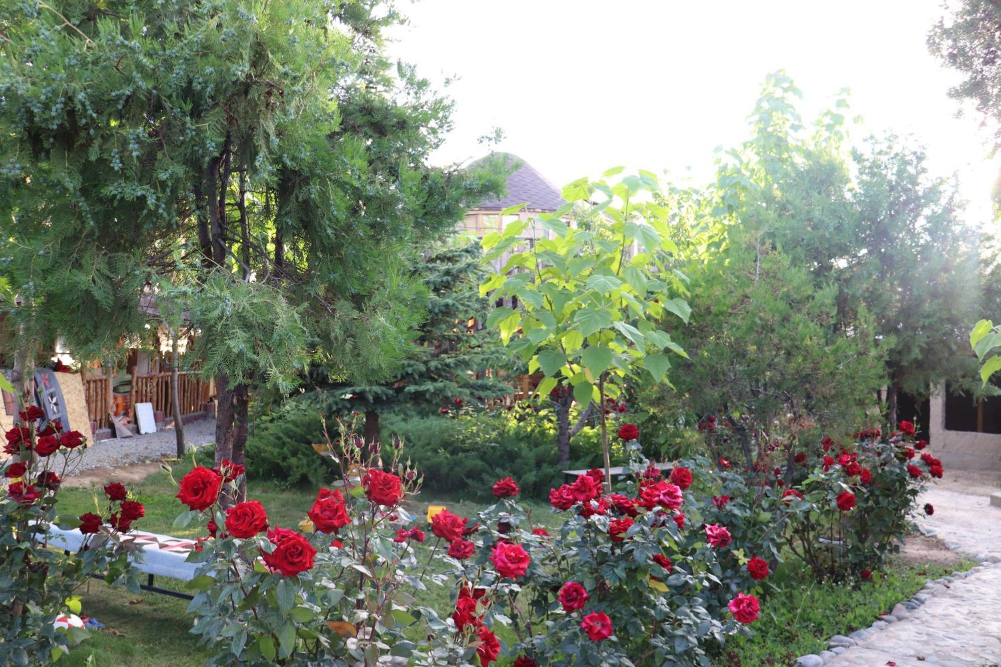 Happy Nomads Yurts & Hostel Karakol Kültér fotó