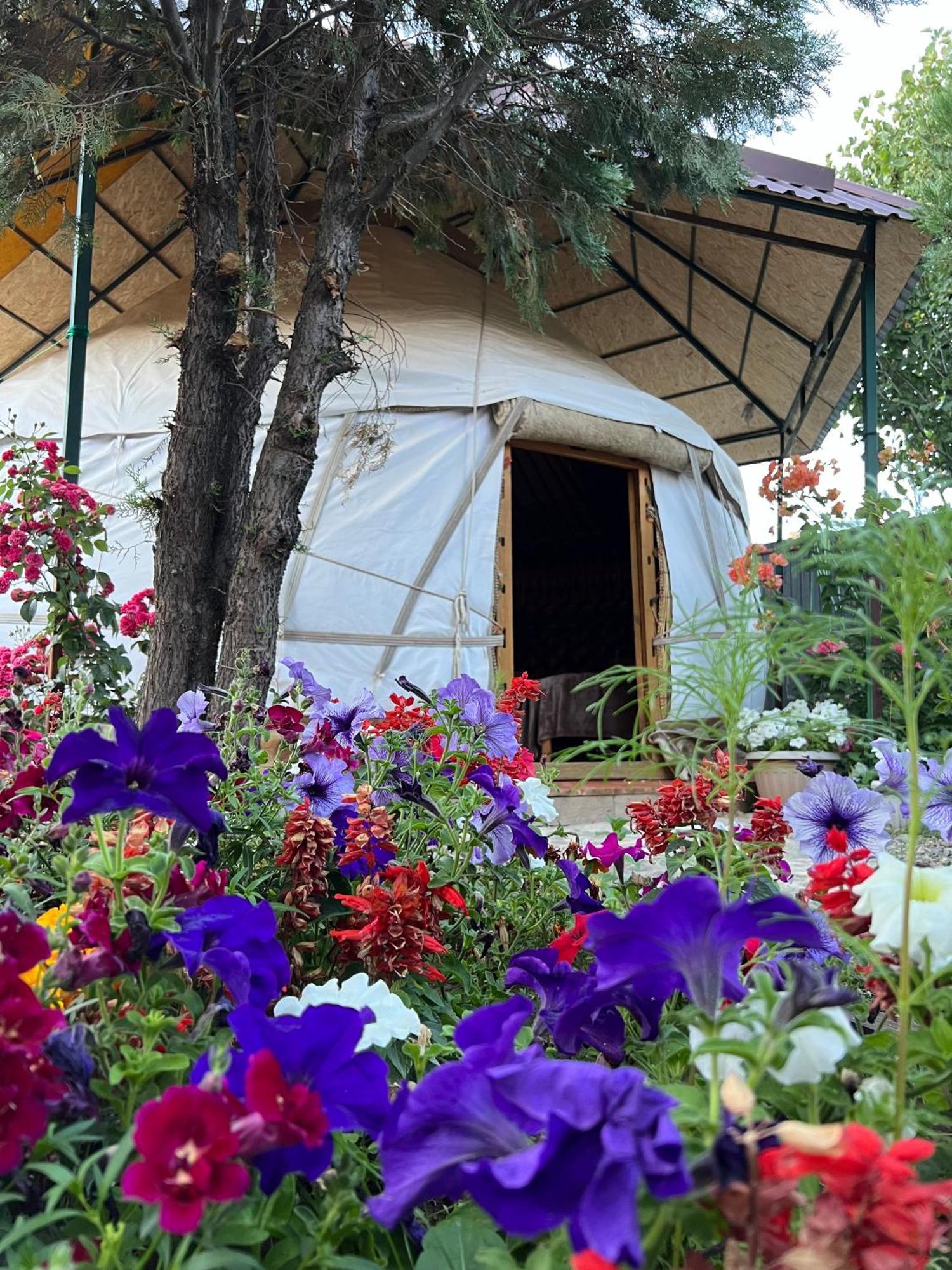 Happy Nomads Yurts & Hostel Karakol Kültér fotó