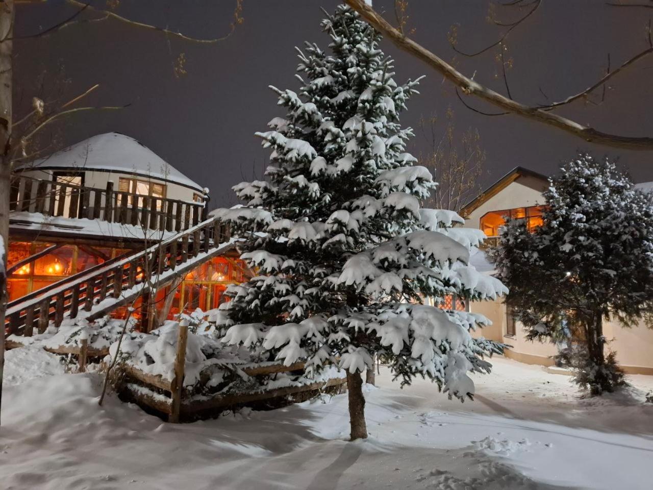Happy Nomads Yurts & Hostel Karakol Kültér fotó